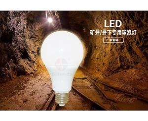 Special bulb lamp for mine/underground